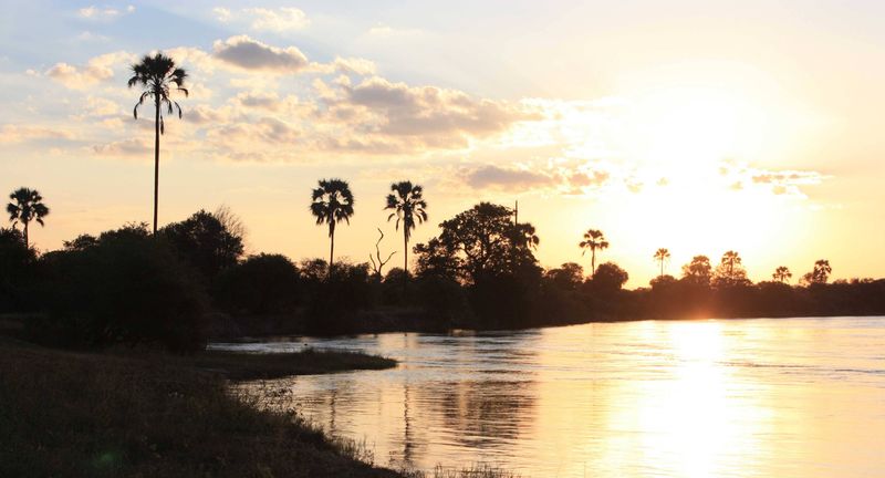 Zambezi cruising