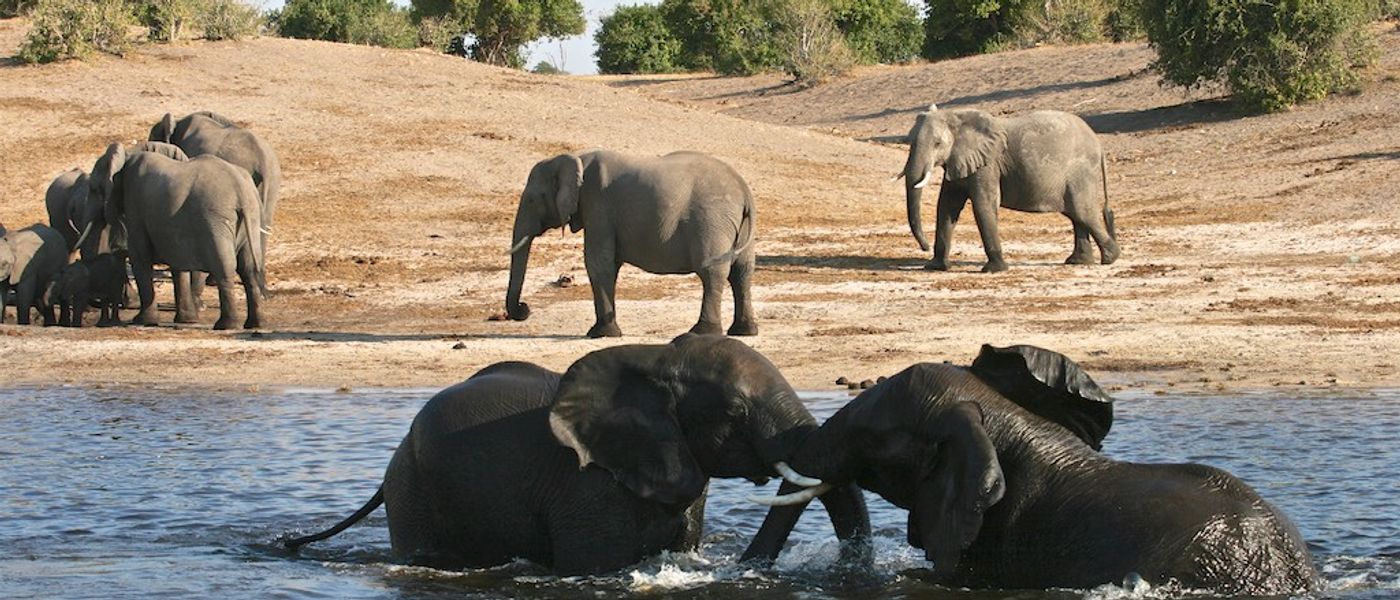 My Trip | Our Taste of Africa