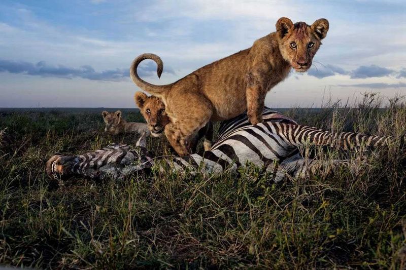 Photograph by Michael Nichols | National Geographic
