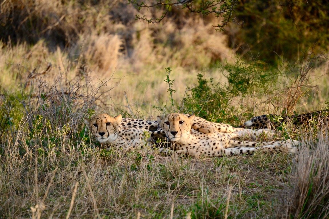 A la découverte du KwaZulu-Natal avec Sarah