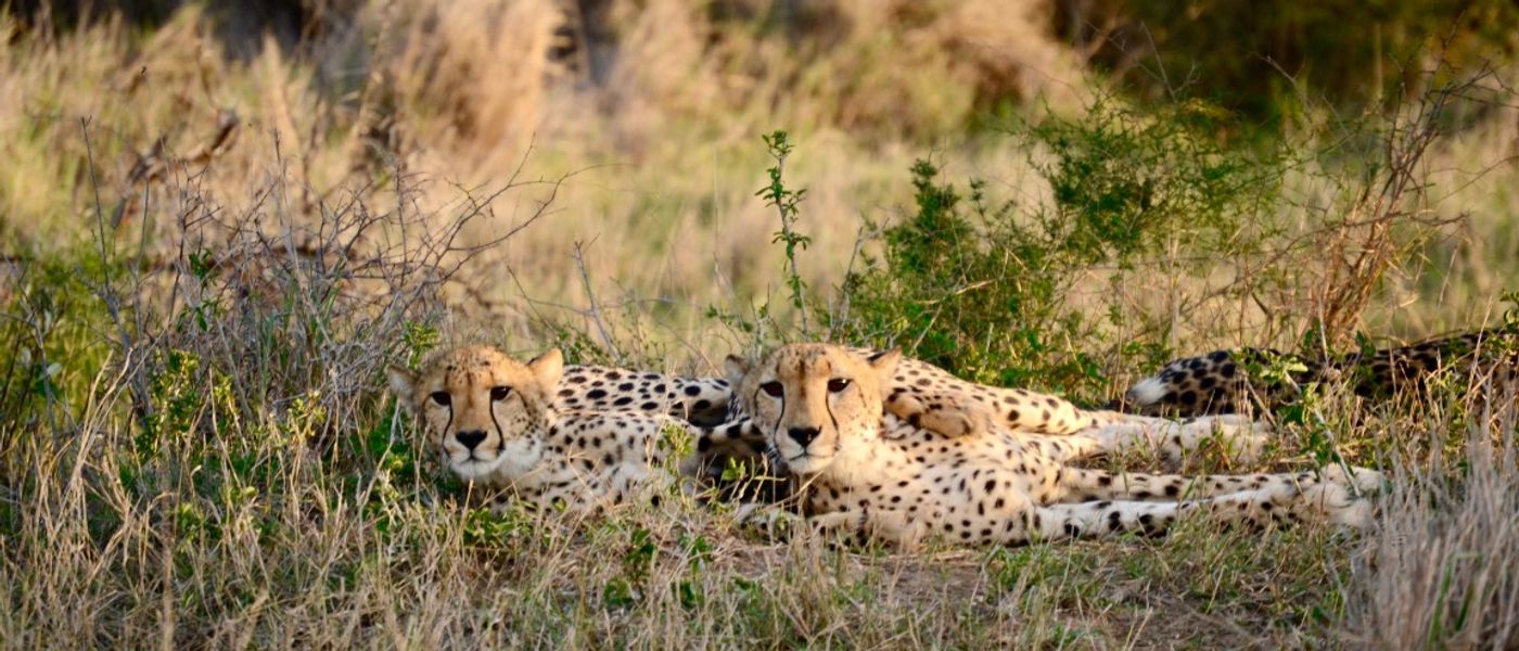 A la découverte du KwaZulu-Natal avec Sarah