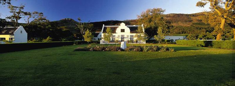 The gorgeous scenery of the Steenberg Estate is breathtaking
