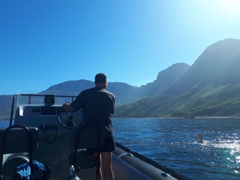 Descubriendo la vida marina sudafricana con Indigo Scuba.
