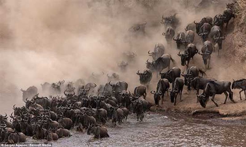 Photograph by Sergey Agapor | Barcroft Media