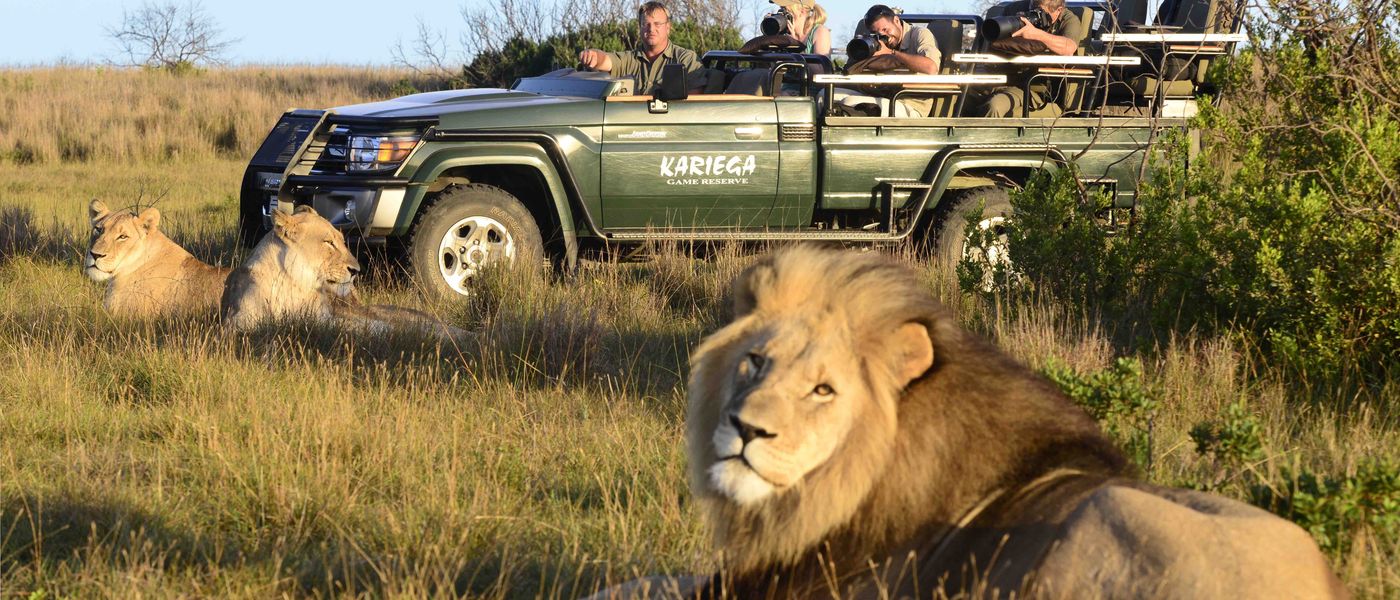 GARDEN ROUTE | Étape #4 : Un safari sur la Garden Route