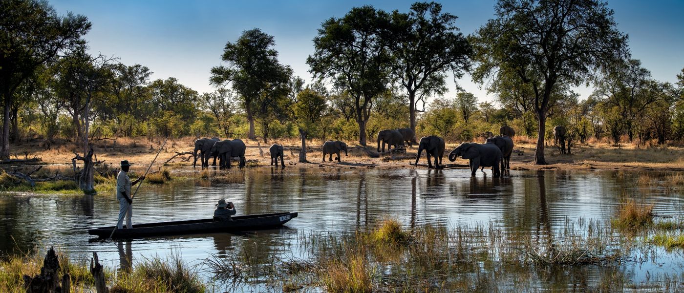 A Guide to a Khwai Safari