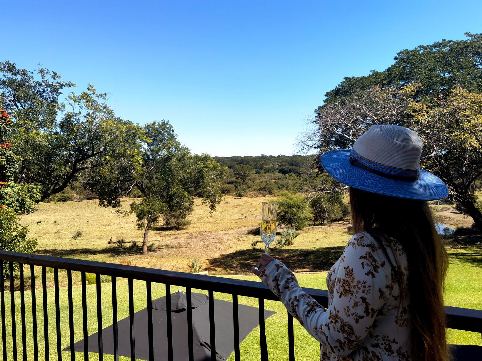 Stanley & Livingstone Boutique Hotel : L’éden africain de Victoria Falls