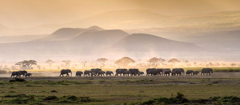 Tanzania is a hot commodity, so it's definitly advisable to book well in advance