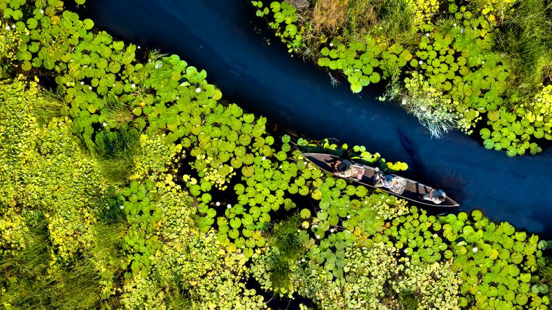 Mokoro-Safari bei Khwai Leadwood im Okavango Delta