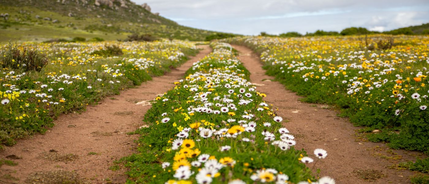 5 Reasons to Visit the West Coast National Park