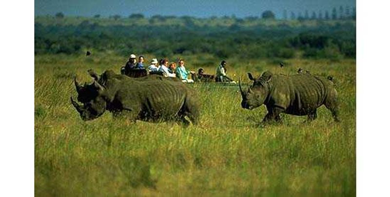 Phinda