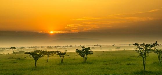 Nos destinations africaines favorites en 2023
