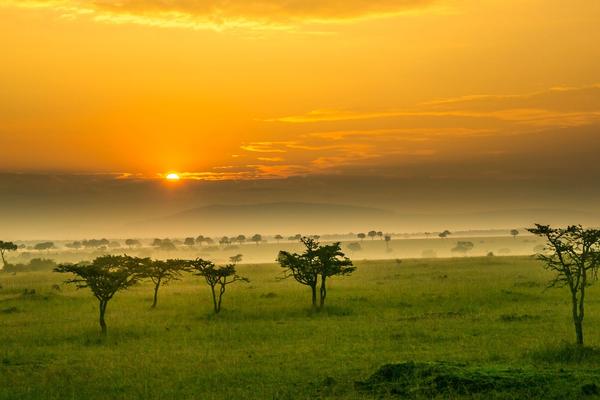 Nos destinations africaines favorites en 2023