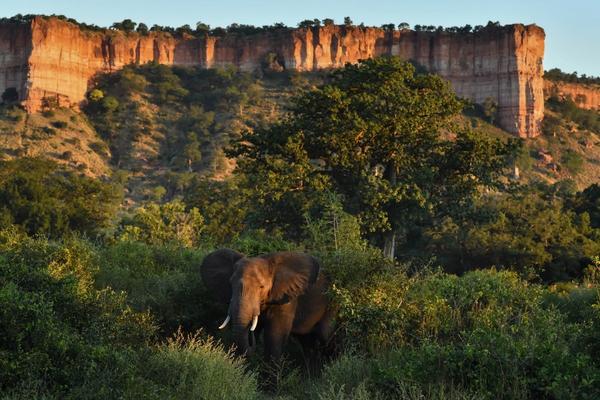 Feel Like an Explorer in Gonarezhou National Park