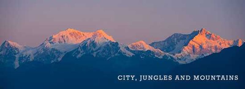 City,-Jungles-and-Mountains