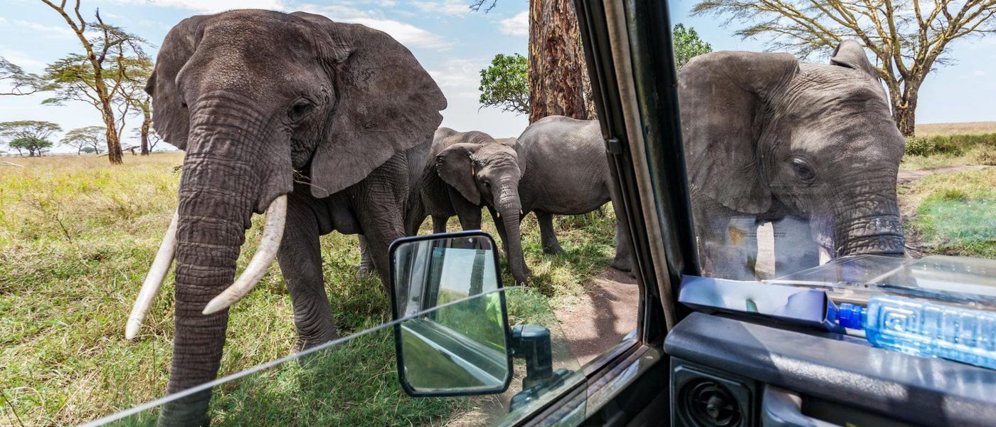 Where Are the Best Places in Africa to Travel to Right Now?