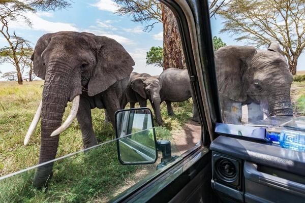 ¿A qué lugares de África puedes viajar ahora mismo?