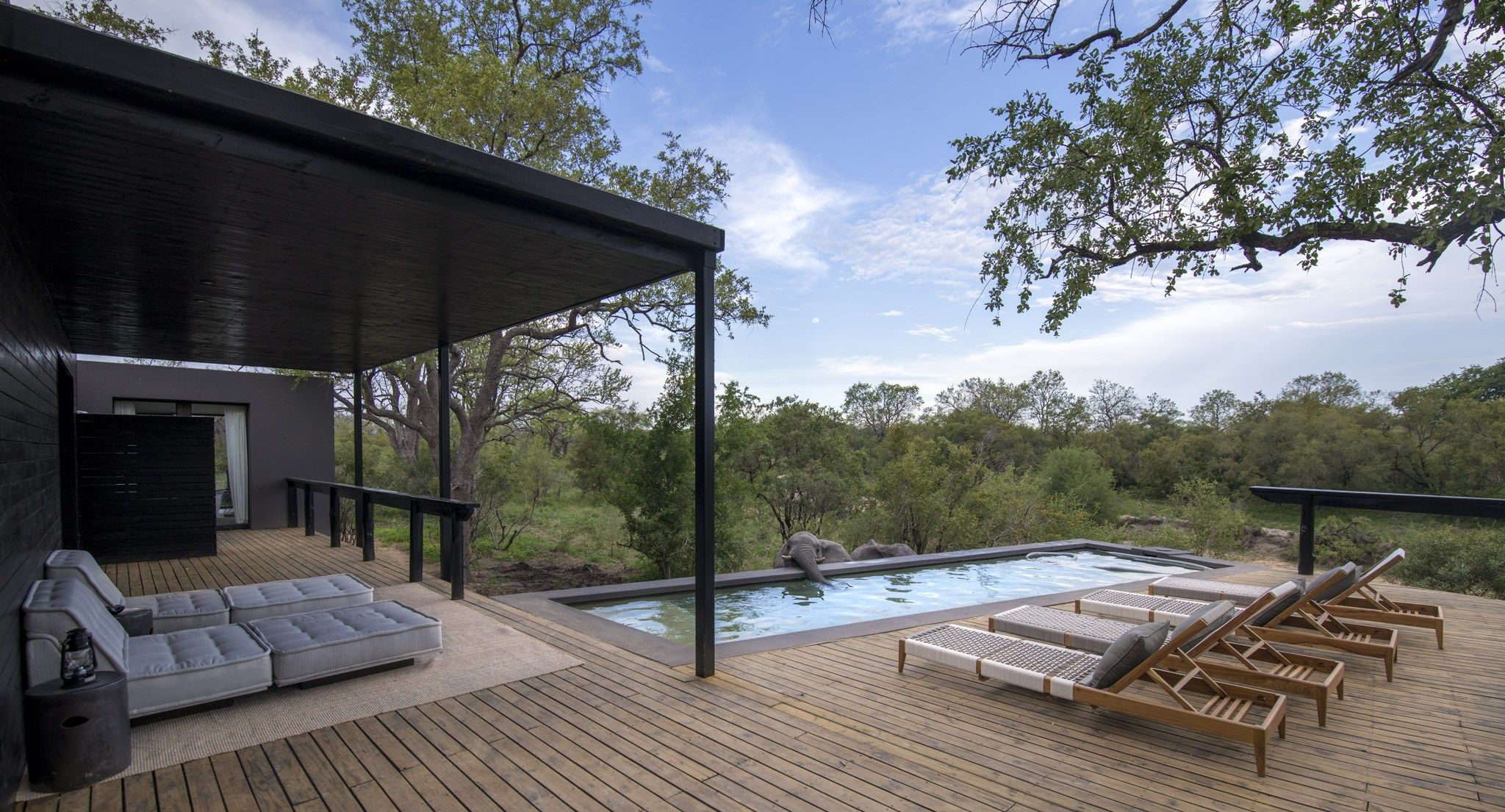 Silvan Safari: el lodge más lujoso del planeta