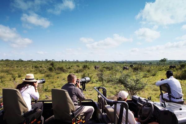 ¿Qué es un safari? | De la caza a la conservación