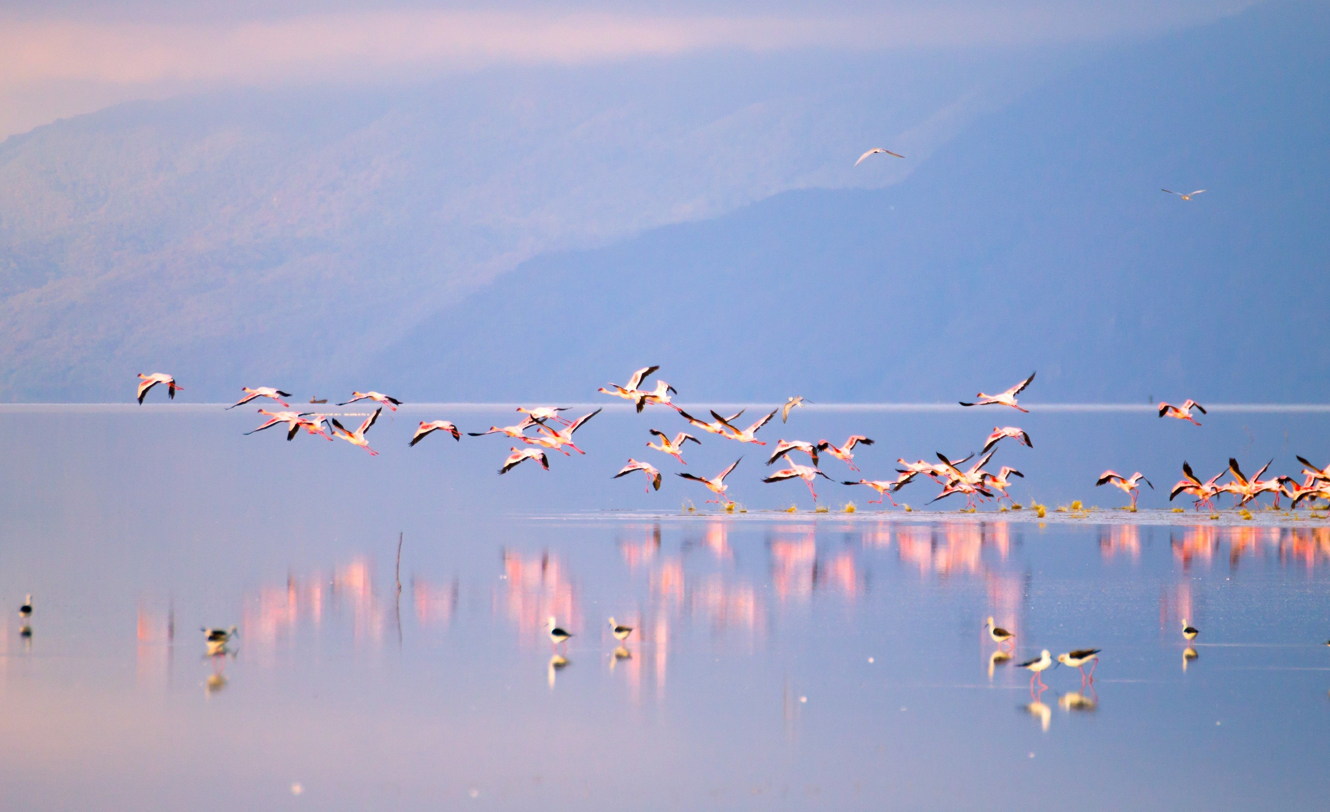 The Magic of Lake Manyara National Park
