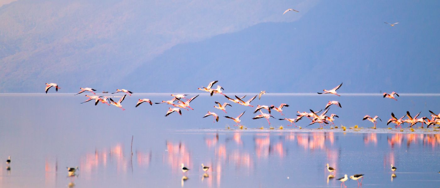 The Magic of Lake Manyara National Park