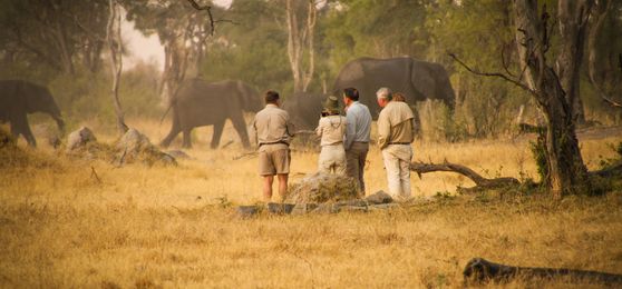 Zimbabwe’s Top National Parks