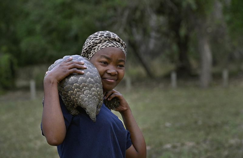 A young woman stands outdoors smiling gently while carrying a pangolin over her shoulder, illustrating the impact in Gorongosa through trust, care, and shared space between people and animals.