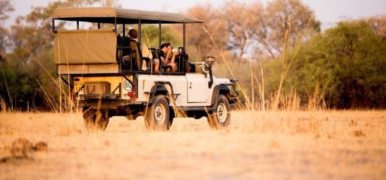 Die besten Safari-Reisen in Afrika