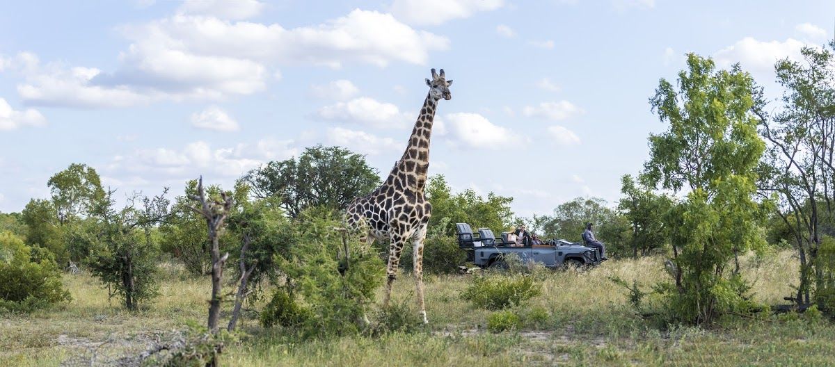 The Natural Cycle of the Kruger National Park’s Seasons: 2016 Drought Explained