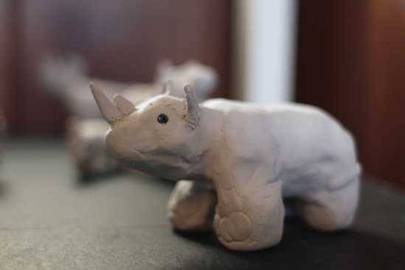 Little Rhino