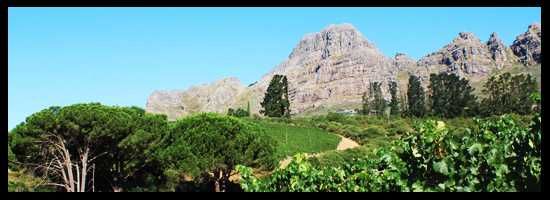 A gorgeous panoramic view from the Overture Restaurant