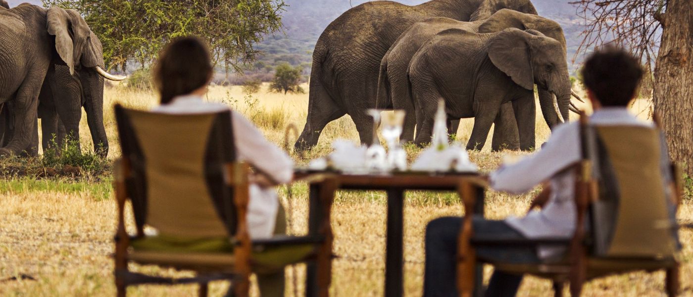 What Makes a Tarangire National Park Safari Special?