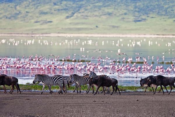 ¿Cuándo es la mejor época para visitar Tanzania?
