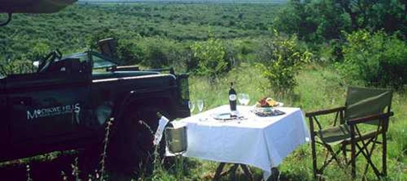 Madikwe Hills