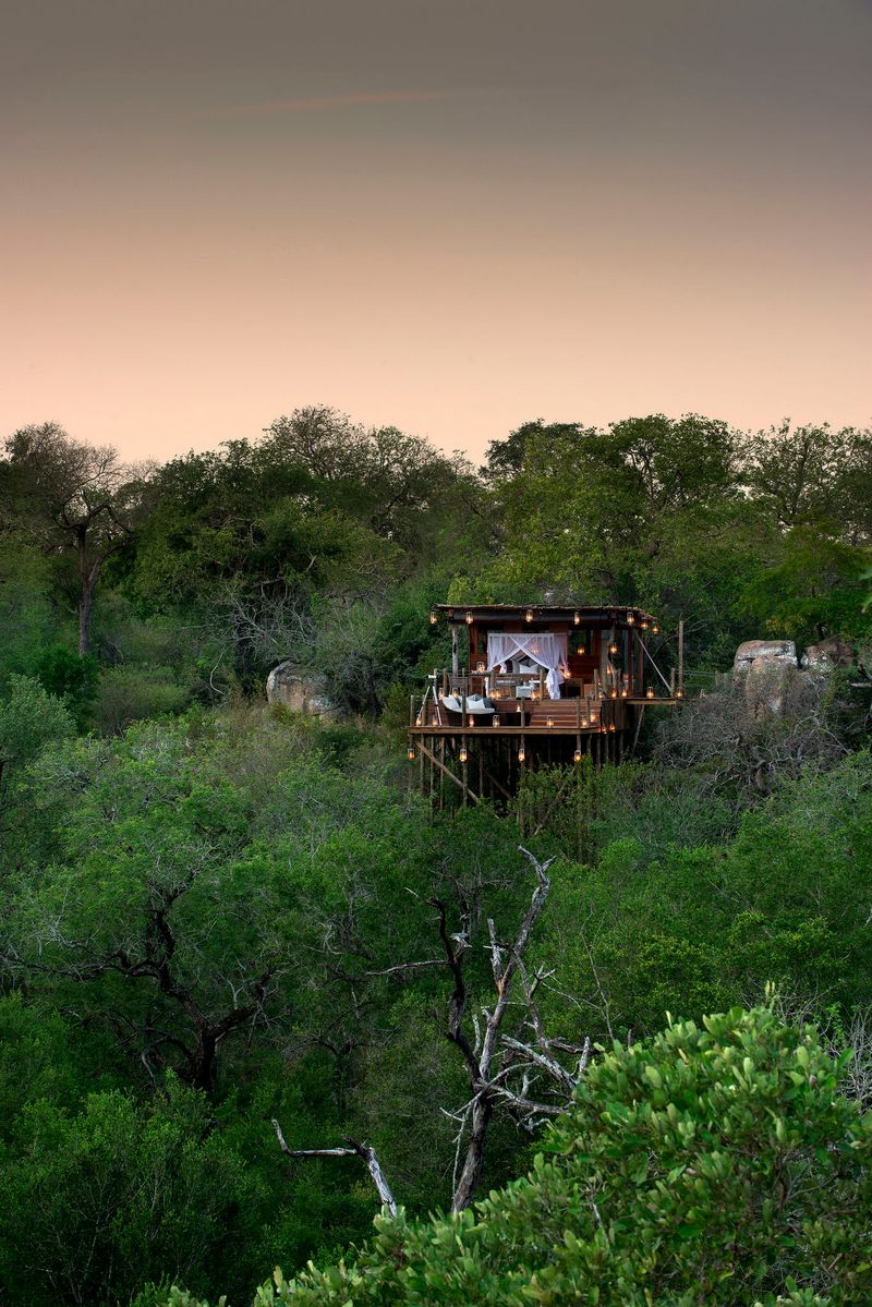 Kingston Treehouse from afar