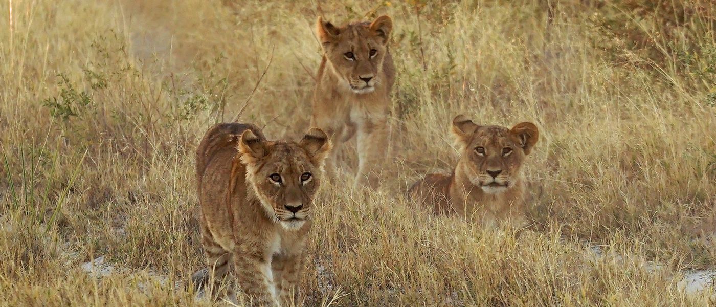 PHOTOS : Les nouveaux-nés les plus adorables d'Afrique