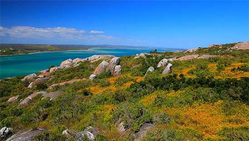 Catching sight of the Langebaan Lagoon