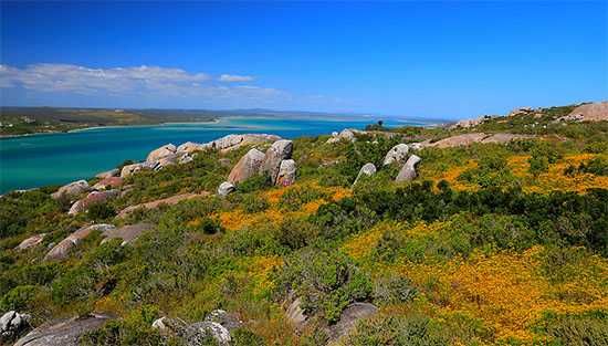Catching sight of the Langebaan Lagoon