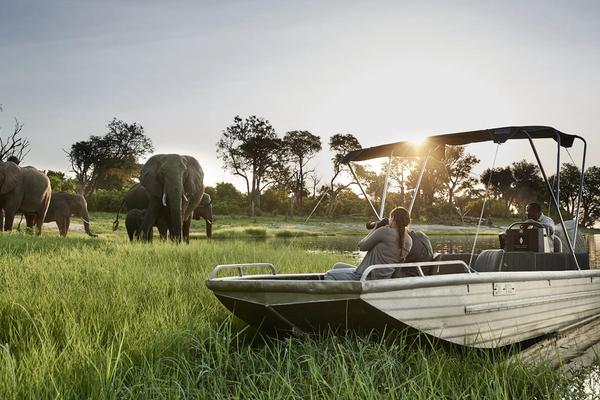 Ihr Safari Guide für den Chobe Nationalpark