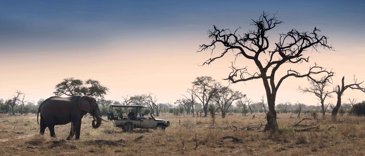 Safári com African Bush Camps | Oferta Especial
