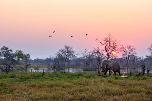 36 razones por las que nunca, pero nunca deberías viajar a África