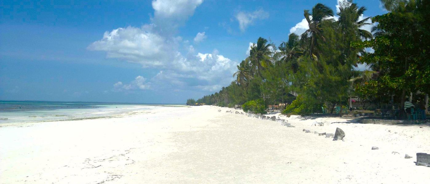 Un paraíso llamado Zanzíbar