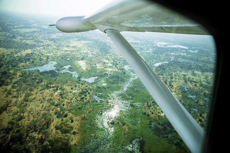 Avião sobrevoa paisagens verdejantes de Botsuana