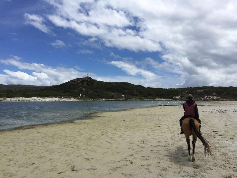 Horse riding on Noodhoek Beach with Imoff Equestrian Centre