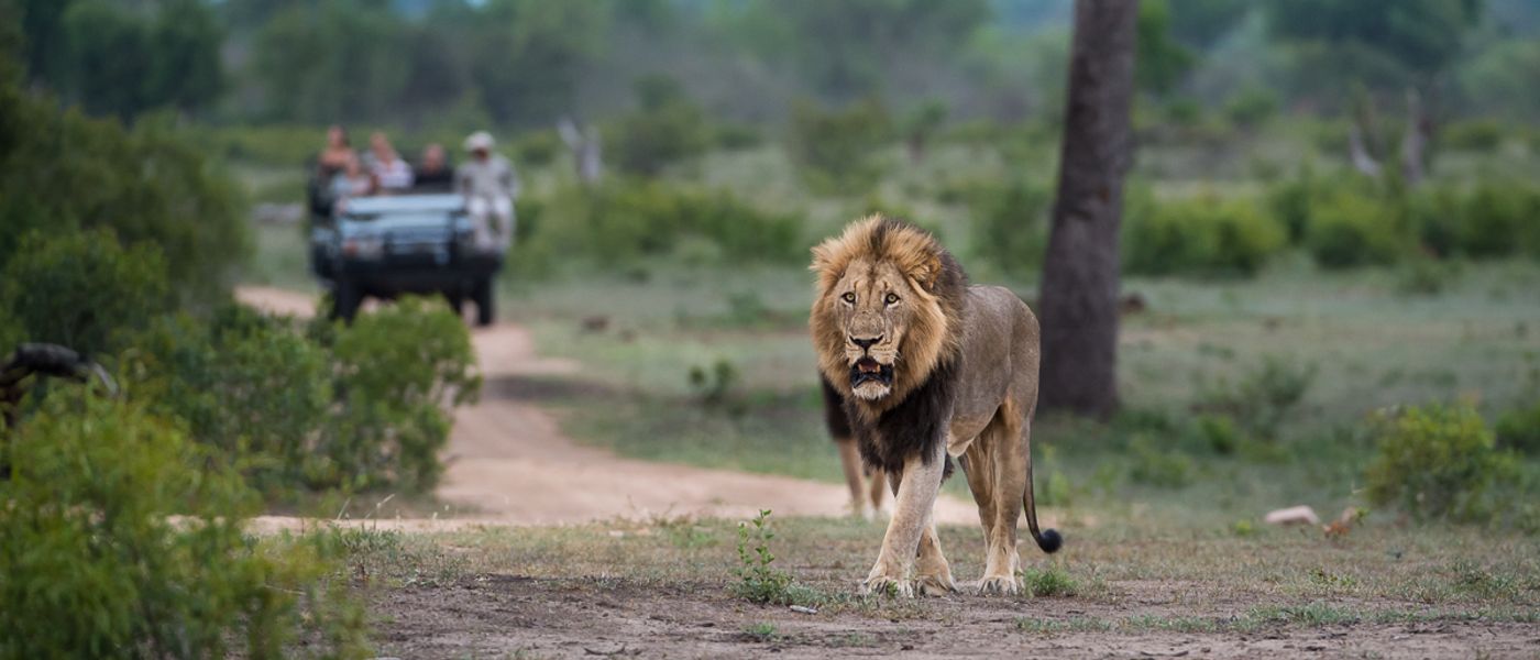 Parque Nacional Kruger vs Reservas Privadas