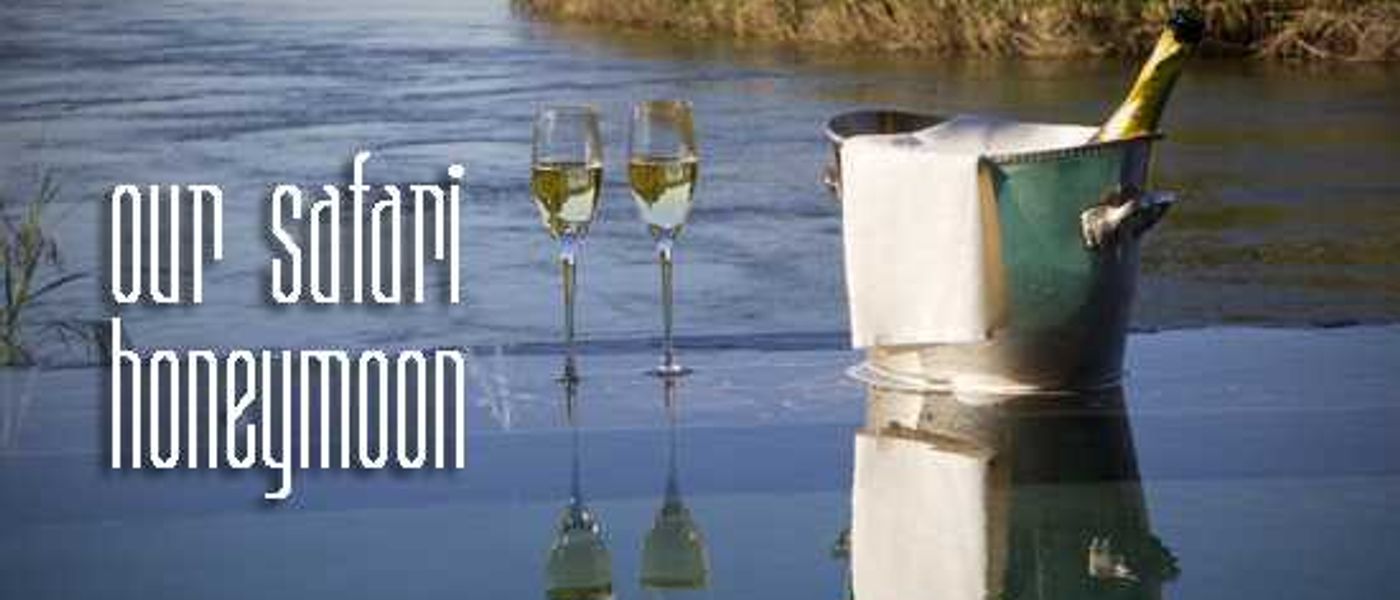 Our Safari Honeymoon - by Brad & Debbie Baumgarten
