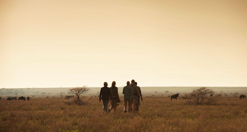 camp walking safari serengeti national park tanzania
