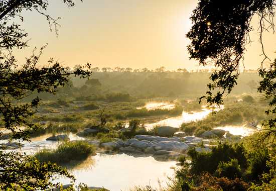 The Best Safari Location in the World | Singita Sabi Sand