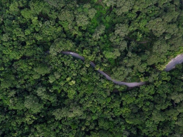 A Drone Through Garden Route