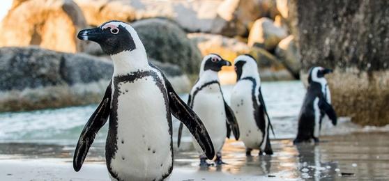 Lugares Únicos para Visitar en Sudáfrica